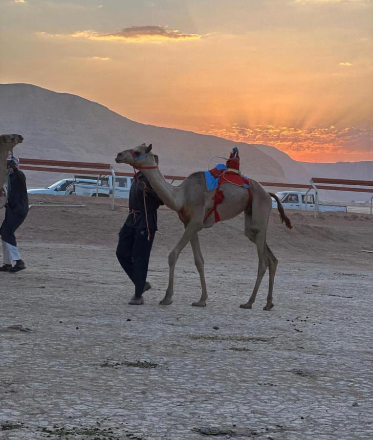 Flowers Rum Camp Ram Vadisi Dış mekan fotoğraf